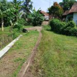 Akses Jalan di Dekat Kantor Kecamatan Kawunganten Tak Kunjung Diperbaiki, Warga Pertanyakan Perhatian Pemerintah