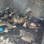 Kebakaran Rumah di Ungaran Timur, Satu Warga Meninggal Dunia