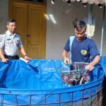 Panen Lele di Rutan Salatiga Hasilkan Puluhan Kilogram, Dorong Kemandirian Warga Binaan