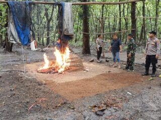 TNI-Polri Perketat Operasi, Perburuan Judi Sabung Ayam di Jombang Terus Digencarkan