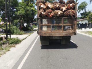 Truk Pengangkut Sawit di Kebun Marihat Diduga Abaikan Standar Keselamatan di Jalan Umum