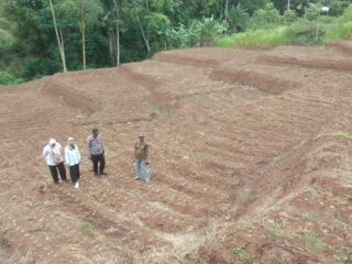 Polsek Sukawening Manfaatkan Lahan Tidur Jadi Area Pertanian Jagung untuk Perkuat Ketahanan Pangan