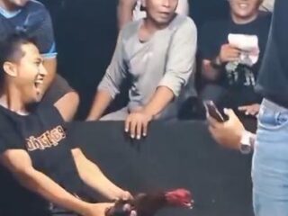Rencana Event Sabung Ayam di Kutalimbaru Disorot, Warga Minta Penindakan Tegas