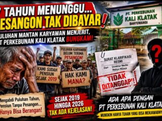 Puluhan Pensiunan PT Perkebunan Kali Klatak Banyuwangi Belum Terima Pesangon Sejak 2019