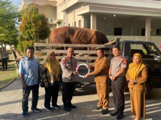 Polda Sumbar dan Hutama Karya Bagikan 48 Sapi dan 8 Kambing Kurban untuk Warga