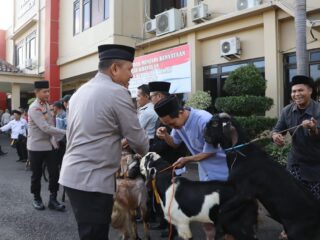 Polres Purworejo Salurkan 2 Sapi dan 22 Kambing Kurban untuk Warga dan Lembaga Sosial