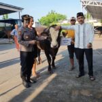 Polres Demak Salurkan Daging 4 Sapi dan 6 Kambing Kurban untuk Warga saat Idul Adha 1447 H