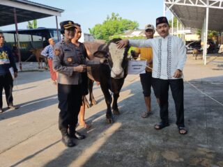 Polres Demak Salurkan Daging 4 Sapi dan 6 Kambing Kurban untuk Warga saat Idul Adha 1447 H