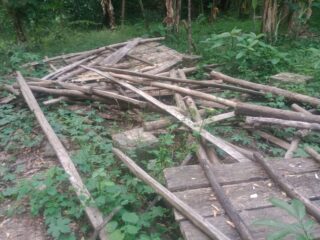 Dugaan Permasalahan Program UPPO Mencuat, Pengurus Gapoktan Soroti Pengelolaan dan Kondisi Bantuan Ternak