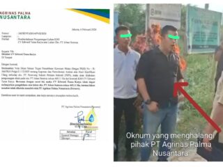 Hak Kelola Dicabut, PT Agrinas Palma Nusantara Minta APH Tindak Tegas Dugaan Pemanenan Sawit oleh CV ETK