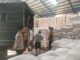 Polsek Caringin Dampingi Penyaluran 4 Ton Jagung Petani ke Bulog, Perkuat Cadangan Pangan Nasional