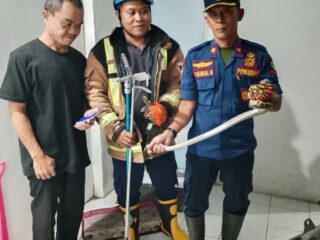 Warga Bungbulang Garut Geger, Ular Sanca 1 Meter Ditemukan di Atas Lemari Makanan