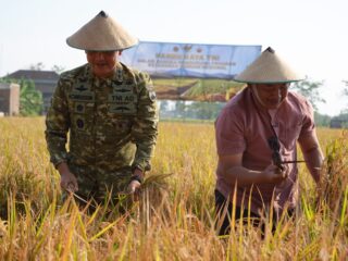 _Ikuti Panen Raya Bersama Presiden via Daring, Pangdam IV/Diponegoro Tegaskan Komitmen Jaga Ketahanan Pangan_
