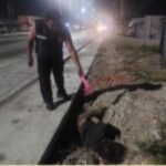 Pria Tanpa Identitas Tewas Misterius di Pinggir Pantura Demak, Luka di Wajah Jadi Petunjuk
